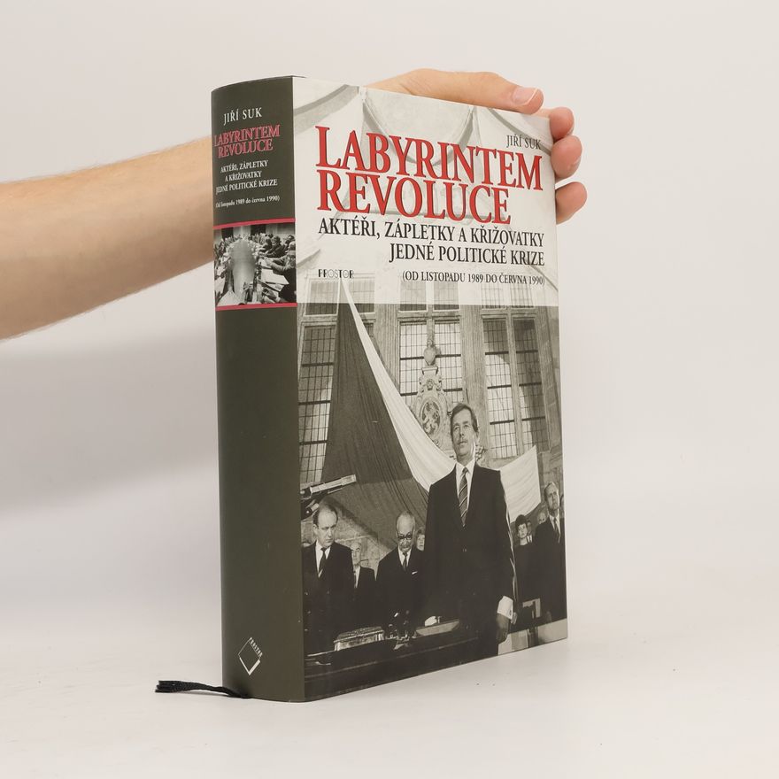 Jiří Suk Labyrintem revoluce. Aktéři, zápletky a křižovatky jedné politické krize (od listopadu 1989 do června 1990)