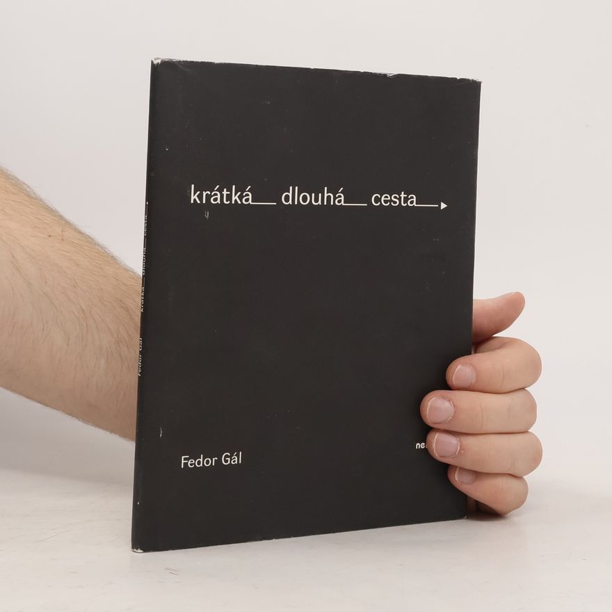 Martin Hanzlíček Krátká dlouhá cesta