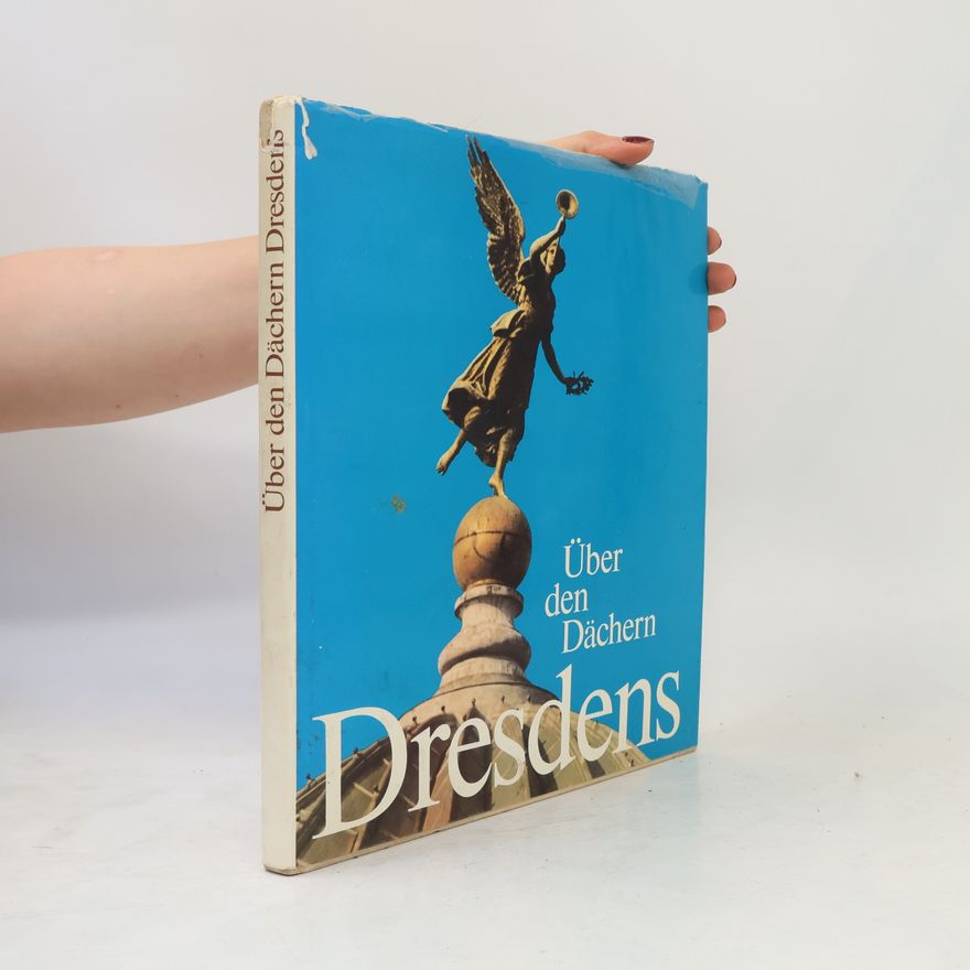 Gebhard Rehbein Über den Dächern Dresdens