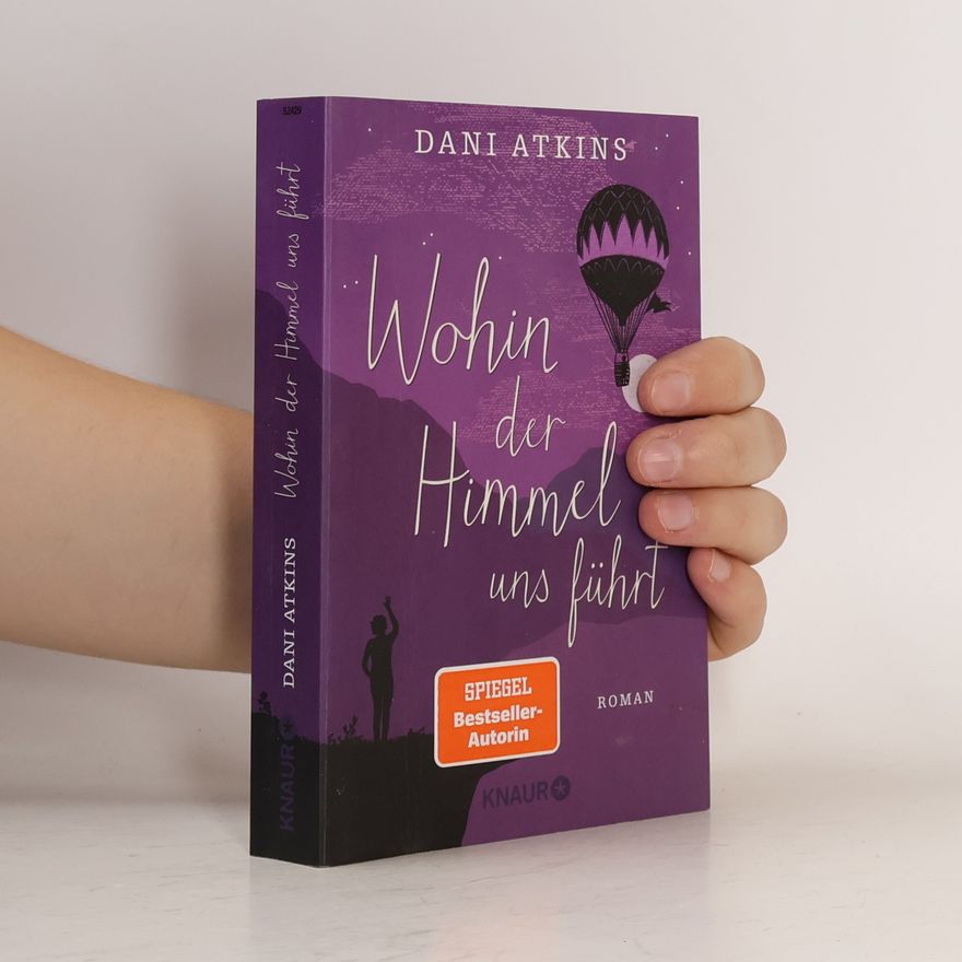 Dani Atkins Wohin der Himmel uns führt