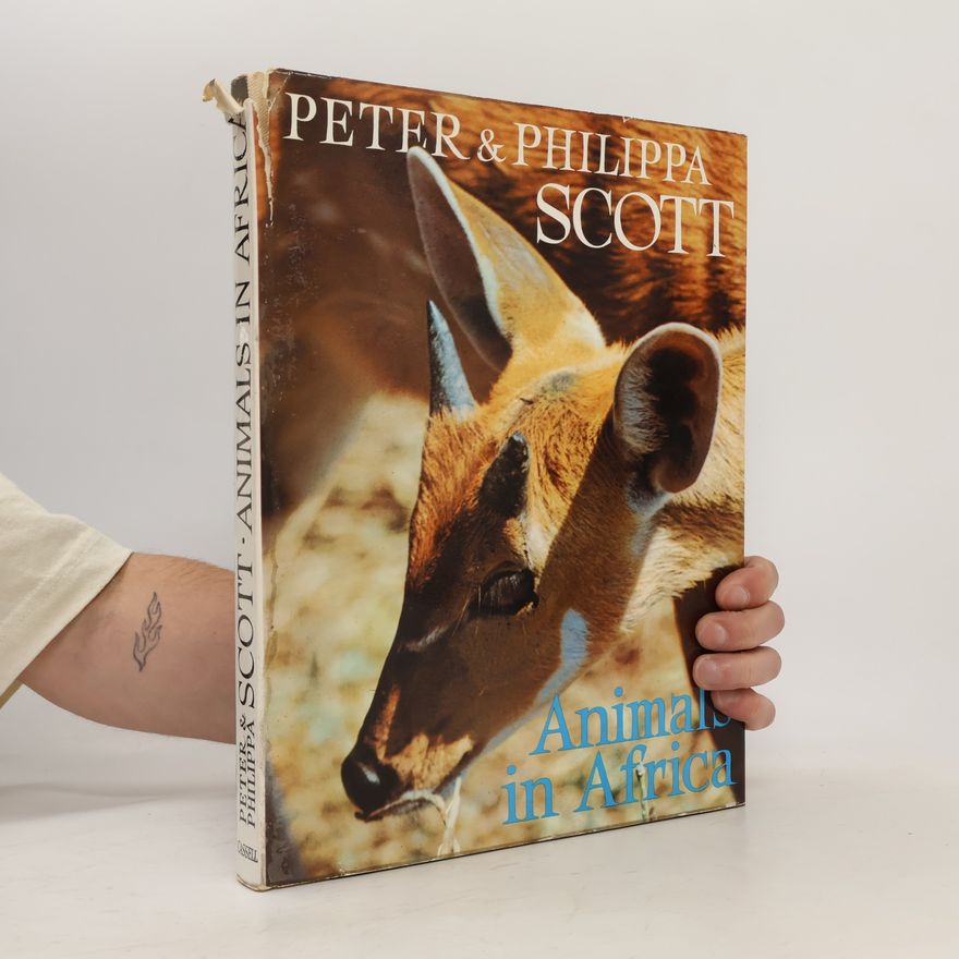 Philippa Scott Animals in Africa