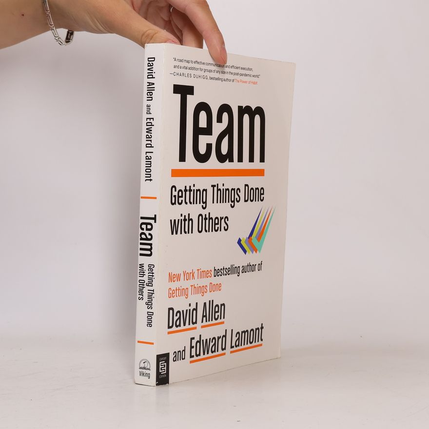 David Allen Team