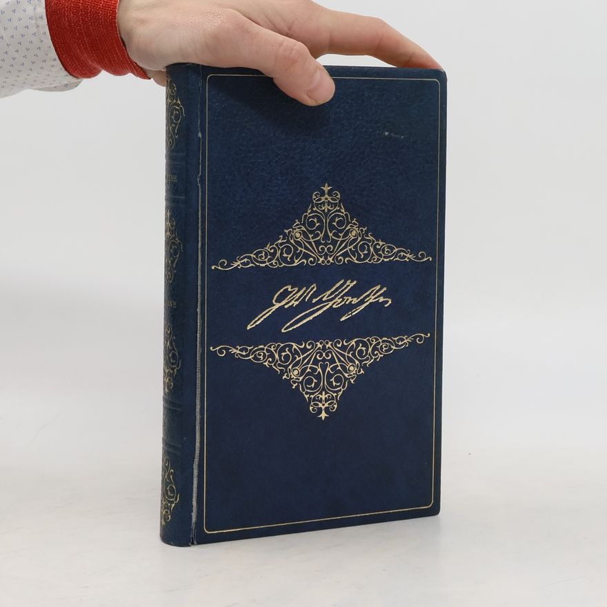 Johann Wolfgang von Goethe Wilhelm Meisters Wanderjahre