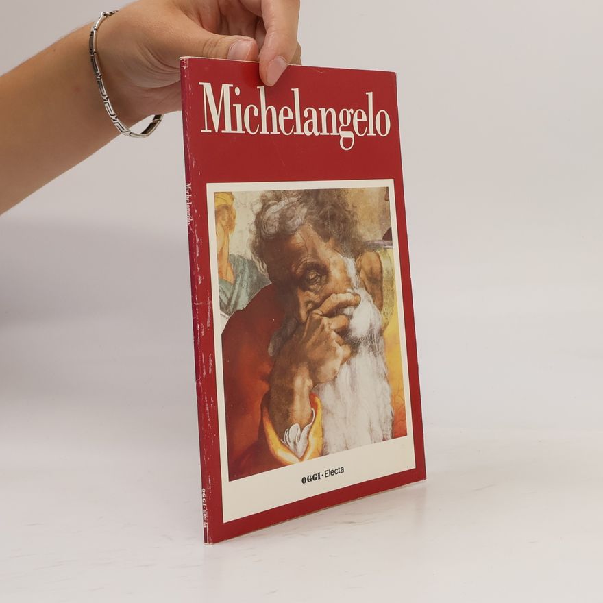 Kolektiv autorů Michelangelo