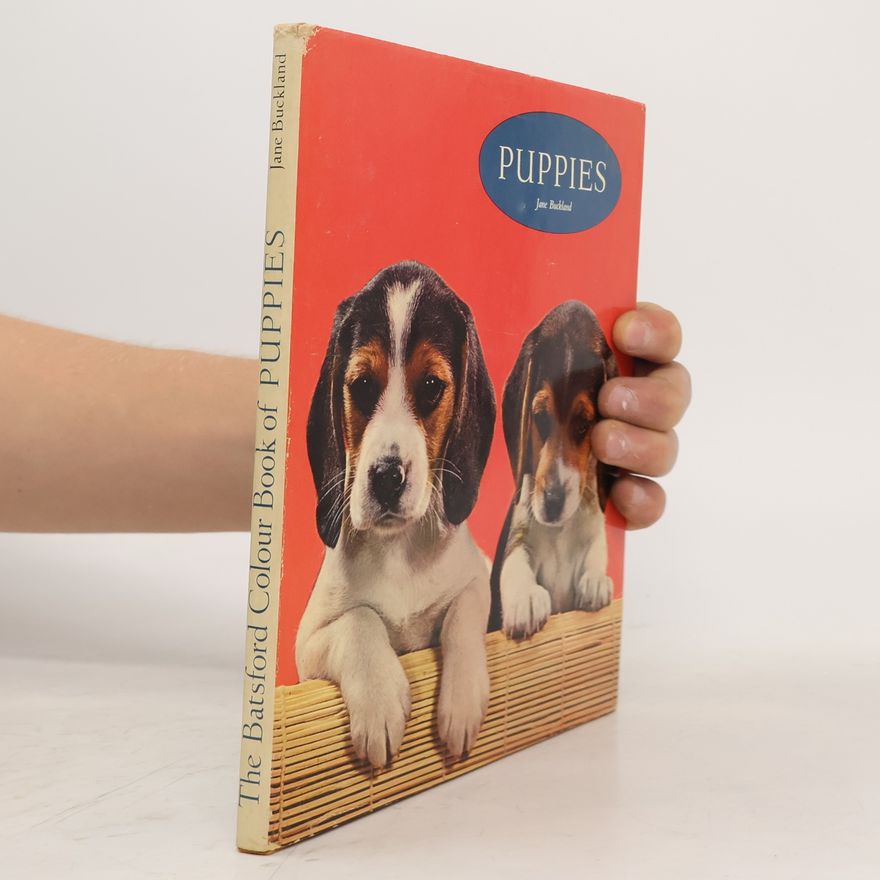 Jane Buckland Puppies