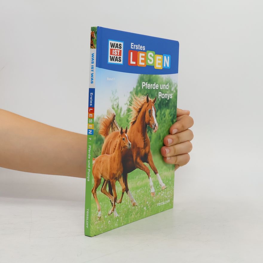 Christina Braun Pferde und Ponys