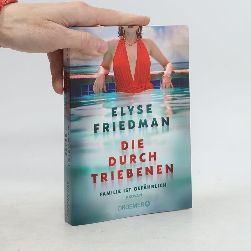 Elyse Friedman Die Durchtriebenen: Familie ist gefährlich. Roman