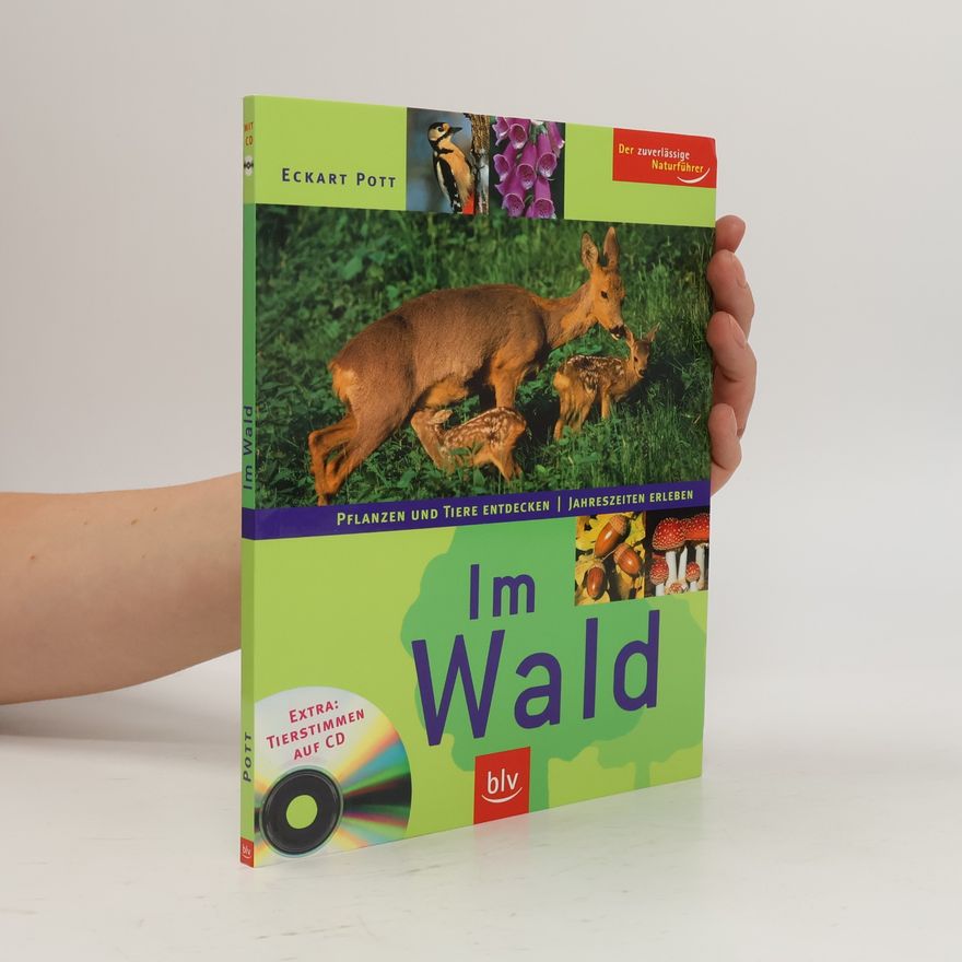 Various authors Im Wald