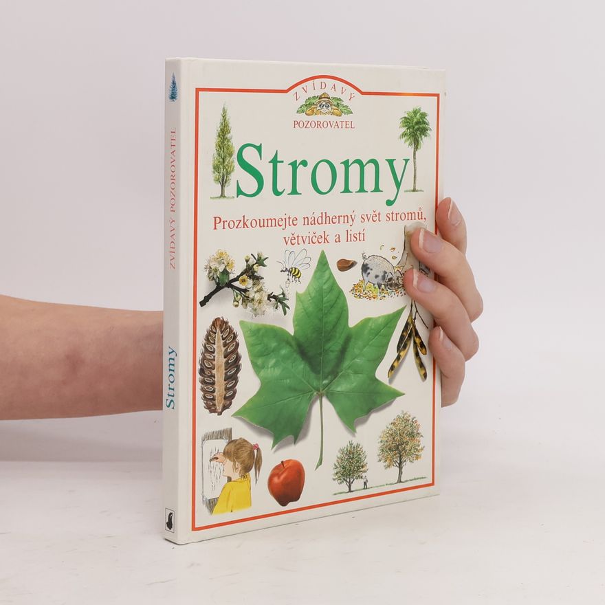 Autorenkollektiv Stromy