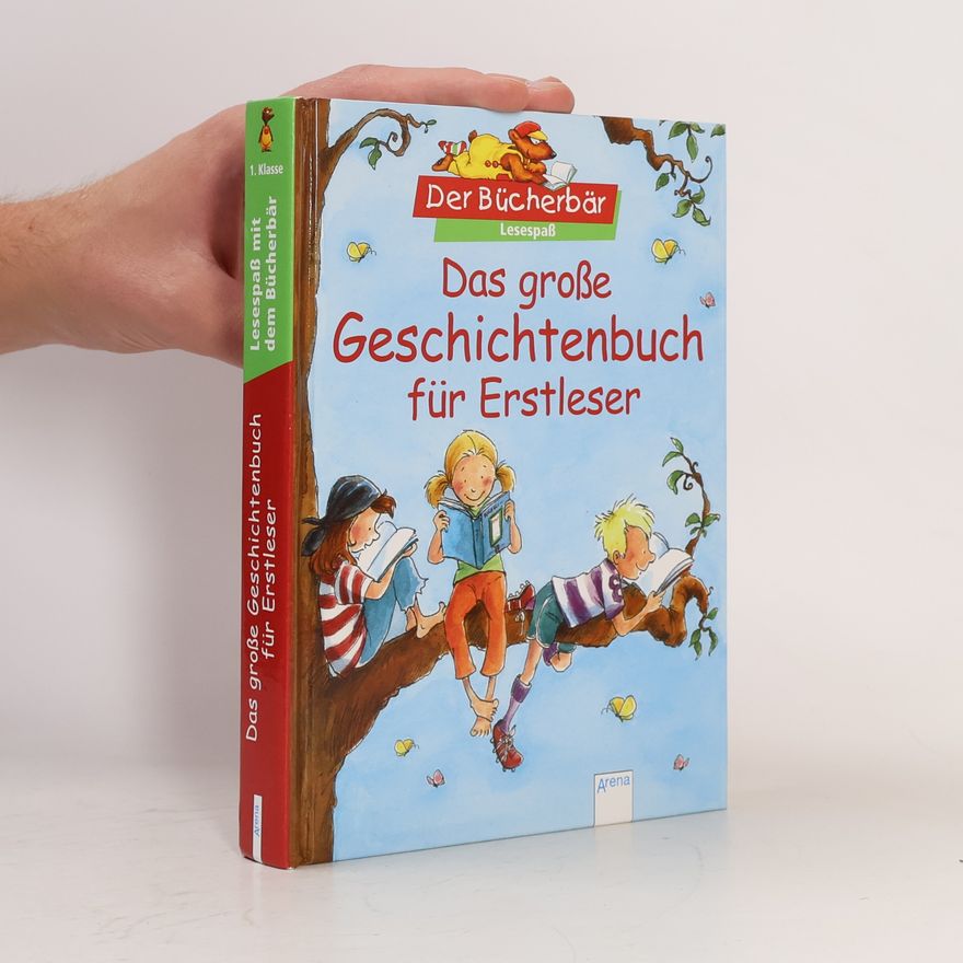 Kolektiv autorů Das große Geschichtenbuch für Erstleser