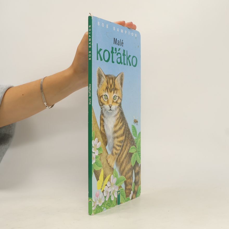 Bob Bampton Malé koťátko