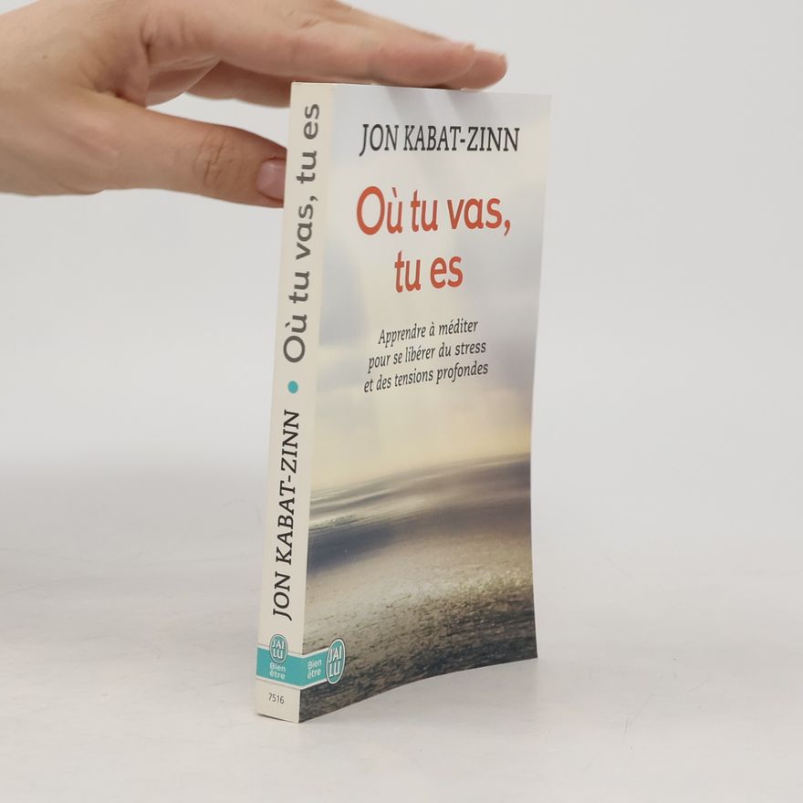 Jon Kabat Zinn Où tu vas, tu es