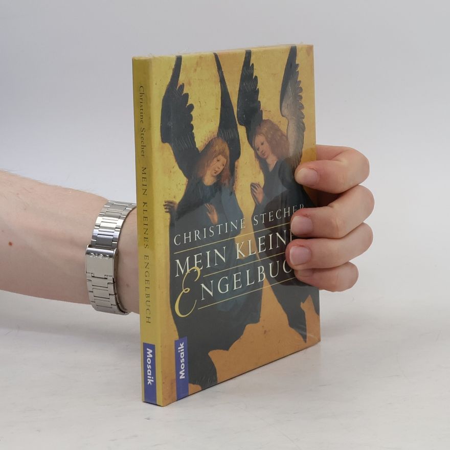 Stecher Christine Mein kleines Engelbuch