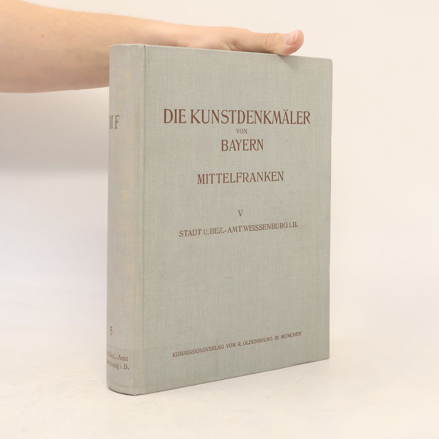 Felix Mader Die Kunstdenkmäler von Bayern Mittelfranken V.