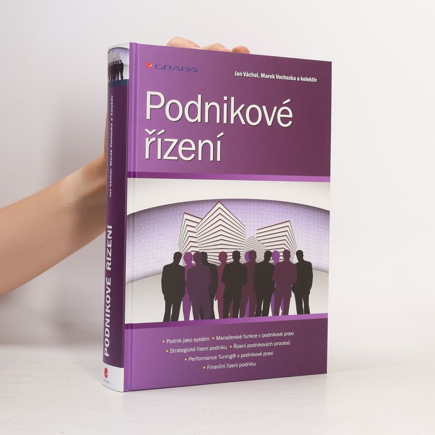 Marek Vochozka Podnikové řízení