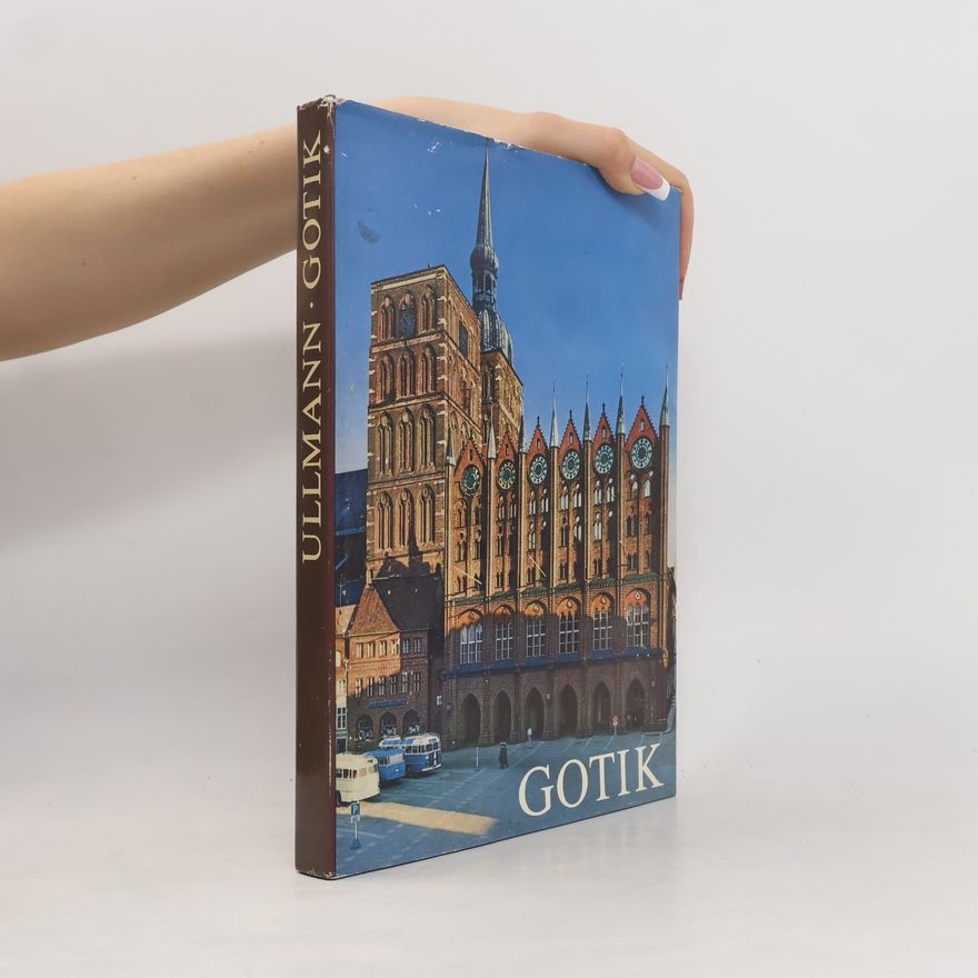 Kolektív autorov Gotik
