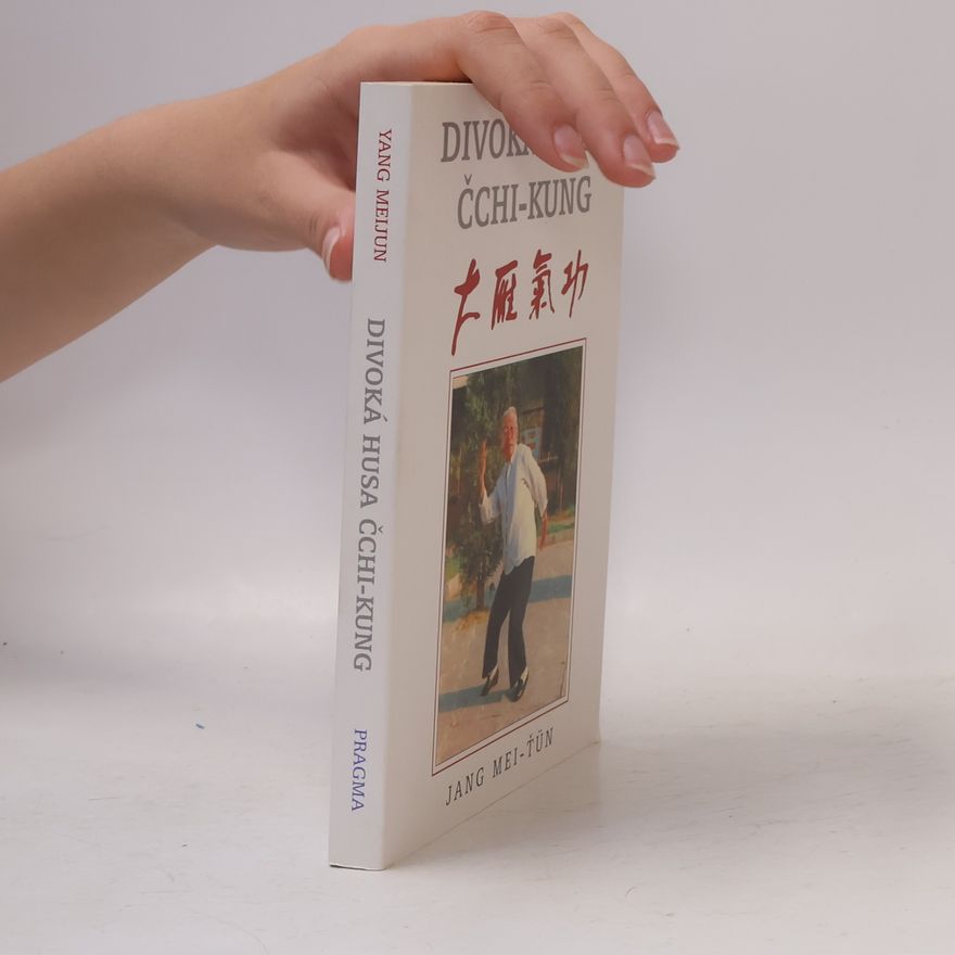 Mei ťün Jang Divoká husa čchi-kung