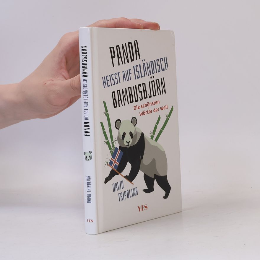 David Tripolina »Panda« heißt auf Isländisch »Bambusbjörn«