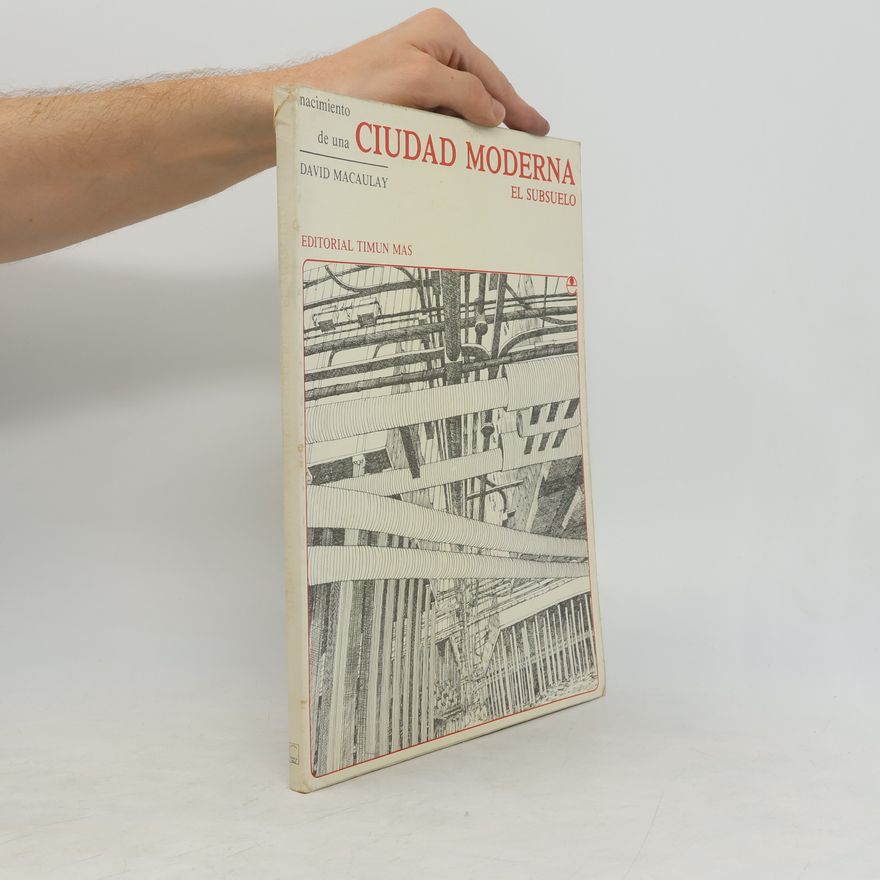 Davod Macaulay Ciudad Moderna