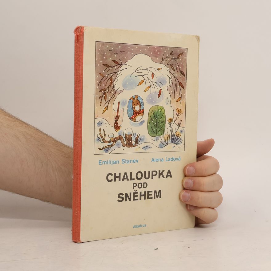 Alena Ladová Chaloupka pod sněhem