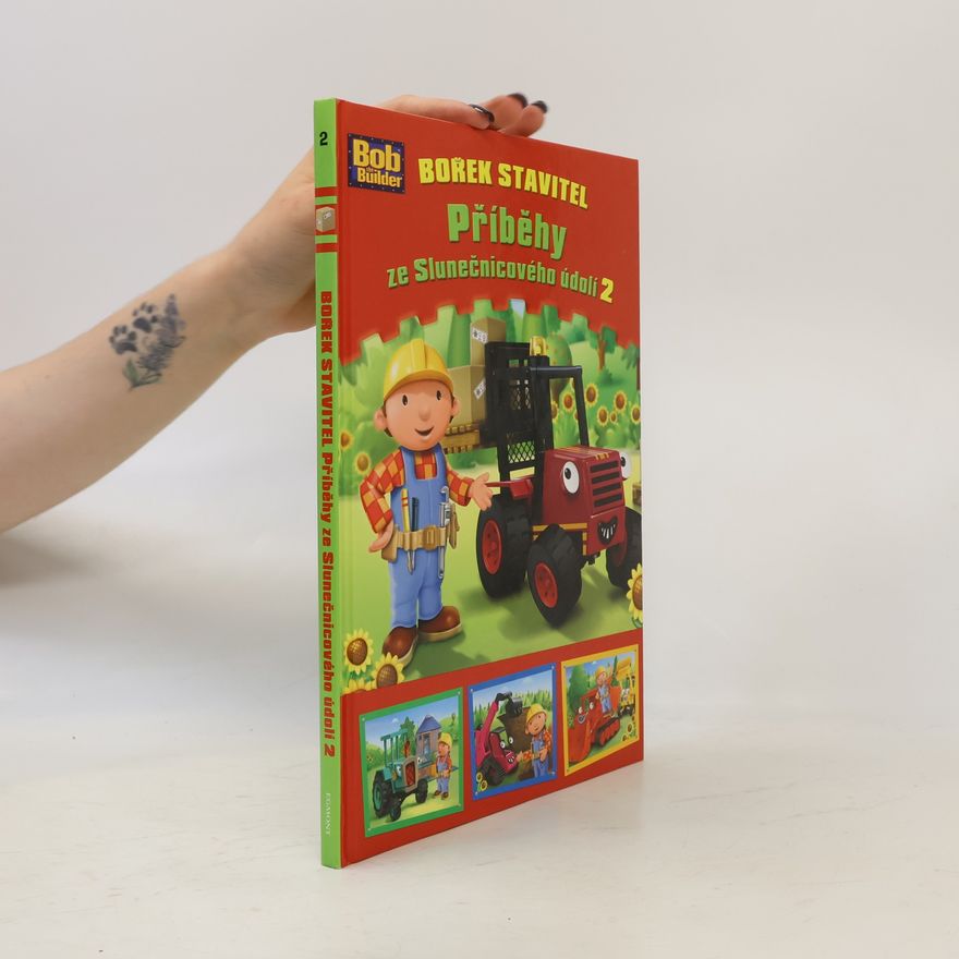 Autorenkollektiv Bořek stavitel - Příběhy ze Slunečnicového údolí 2