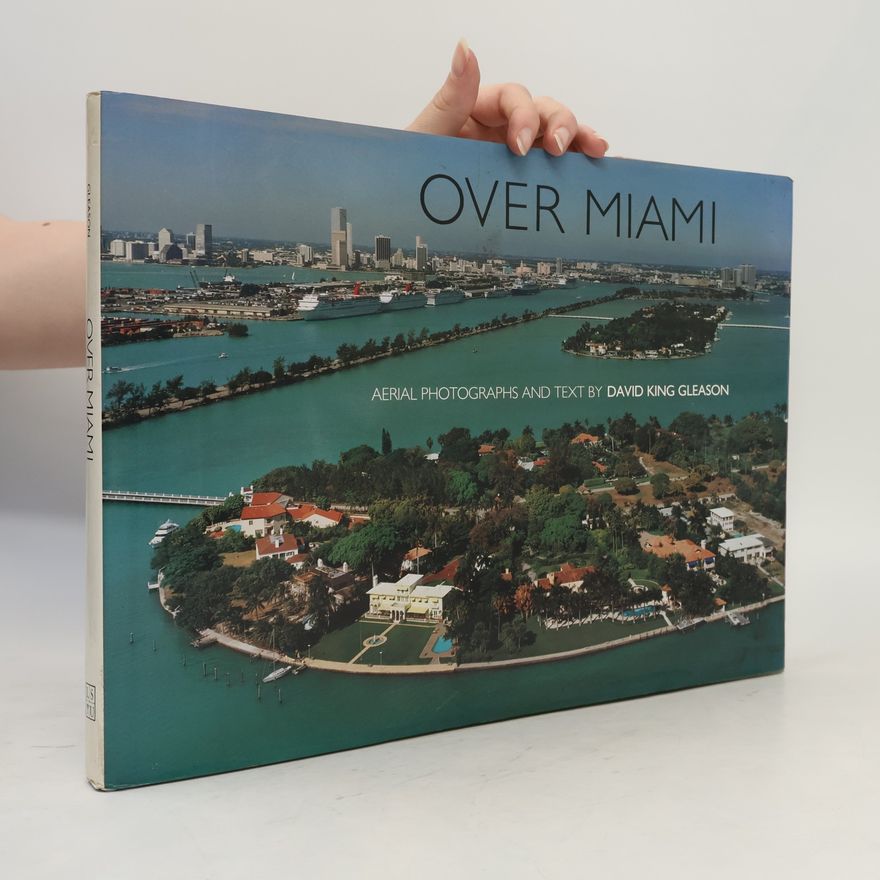 David King Gleason Over Miami