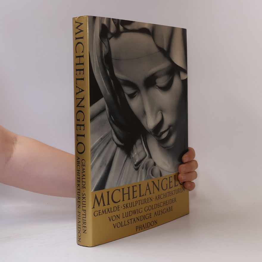 Michelangelo Michelangelo