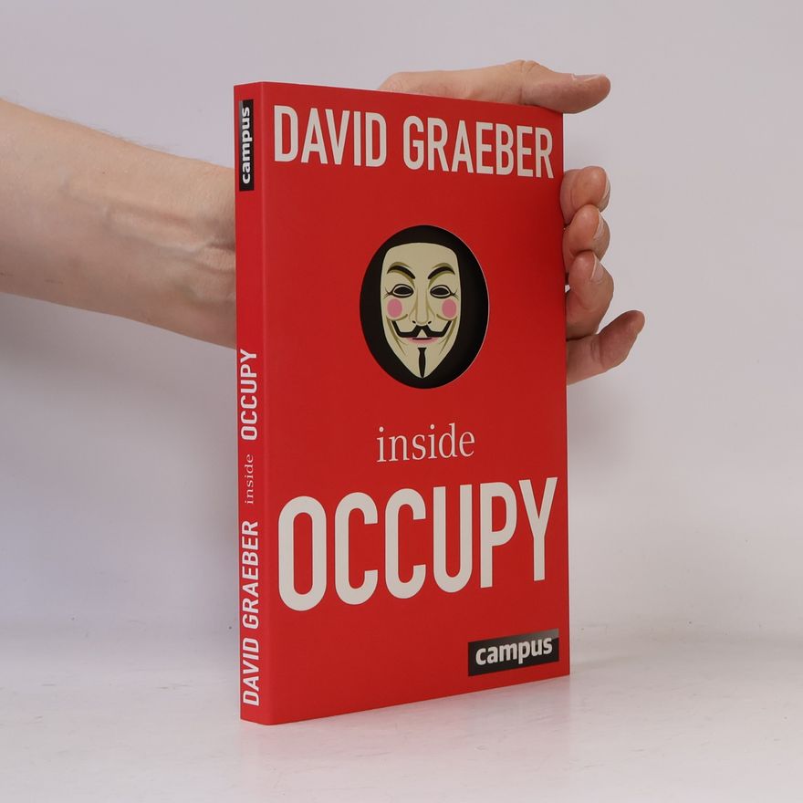 Bernhard Schmid Inside Occupy