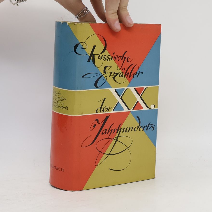 Kolektív autorov Russische Erzähler des XX. Jahrhunderts