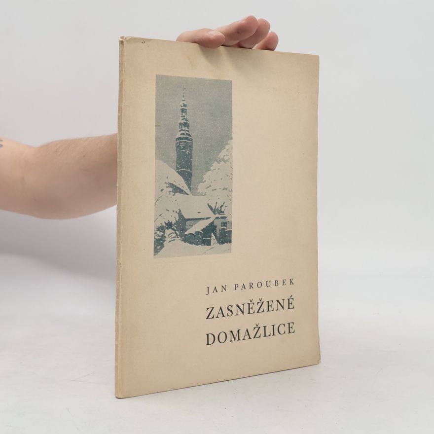 Jan Paroubek Zasněžené Domažlice