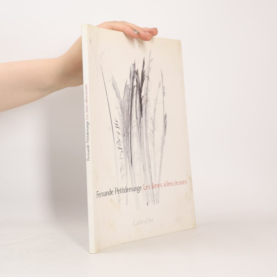 Fernande Petitdemange Les âmes silencieuses, 1991-2007