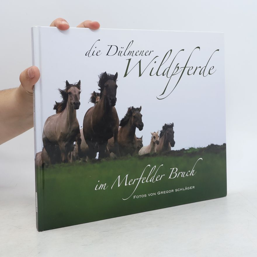 Jörg Gierse Die Dülmener Wildpferde in Merfelder Bruch