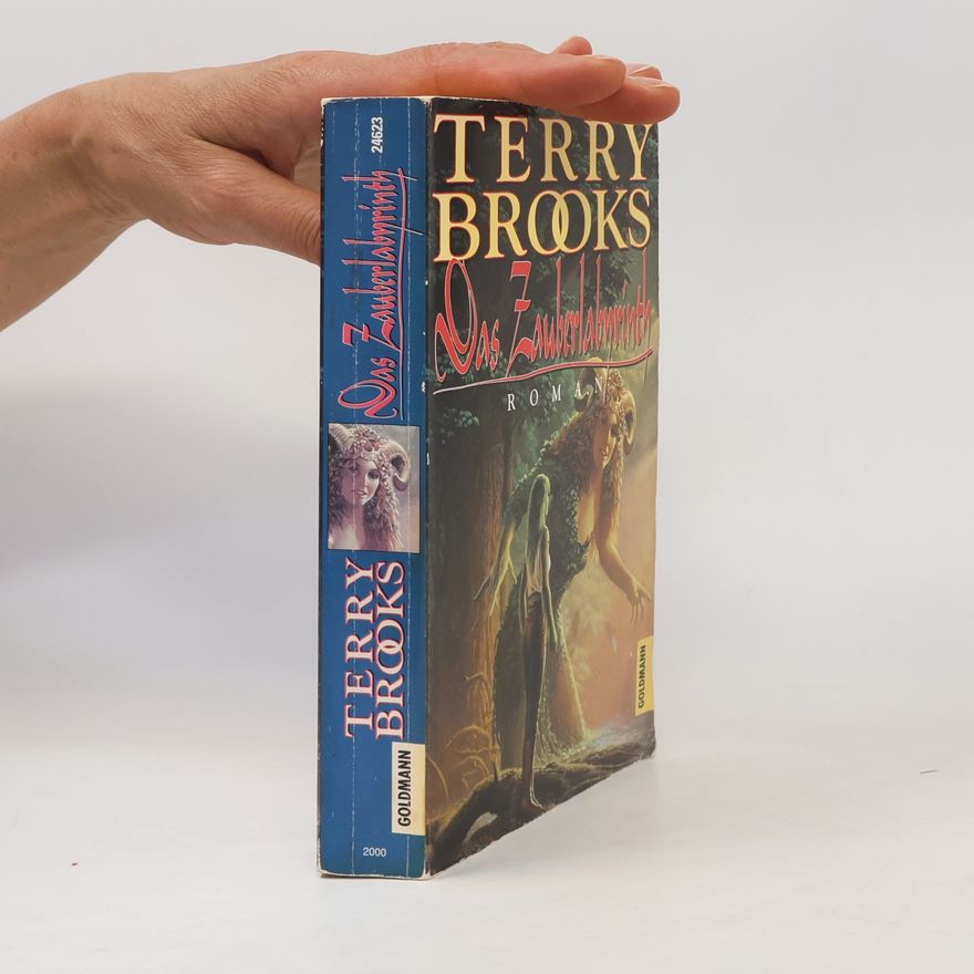 Terry Brooks Das Zauberlabyrinth