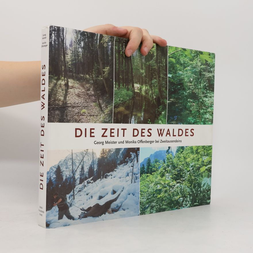 Georg Meister Die Zeit des Waldes