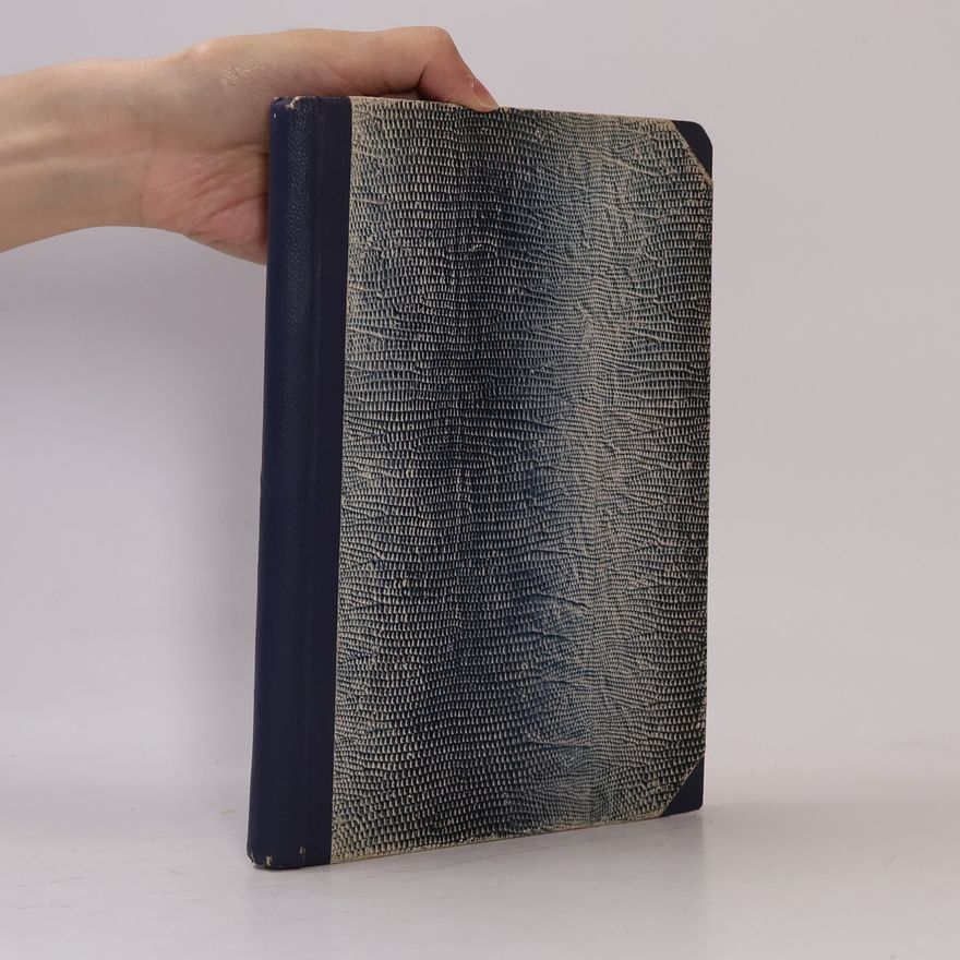 Antonín Hetmánek Přehled dějin české literatury