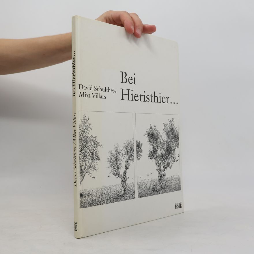 David Schulthess Bei Hieristhier