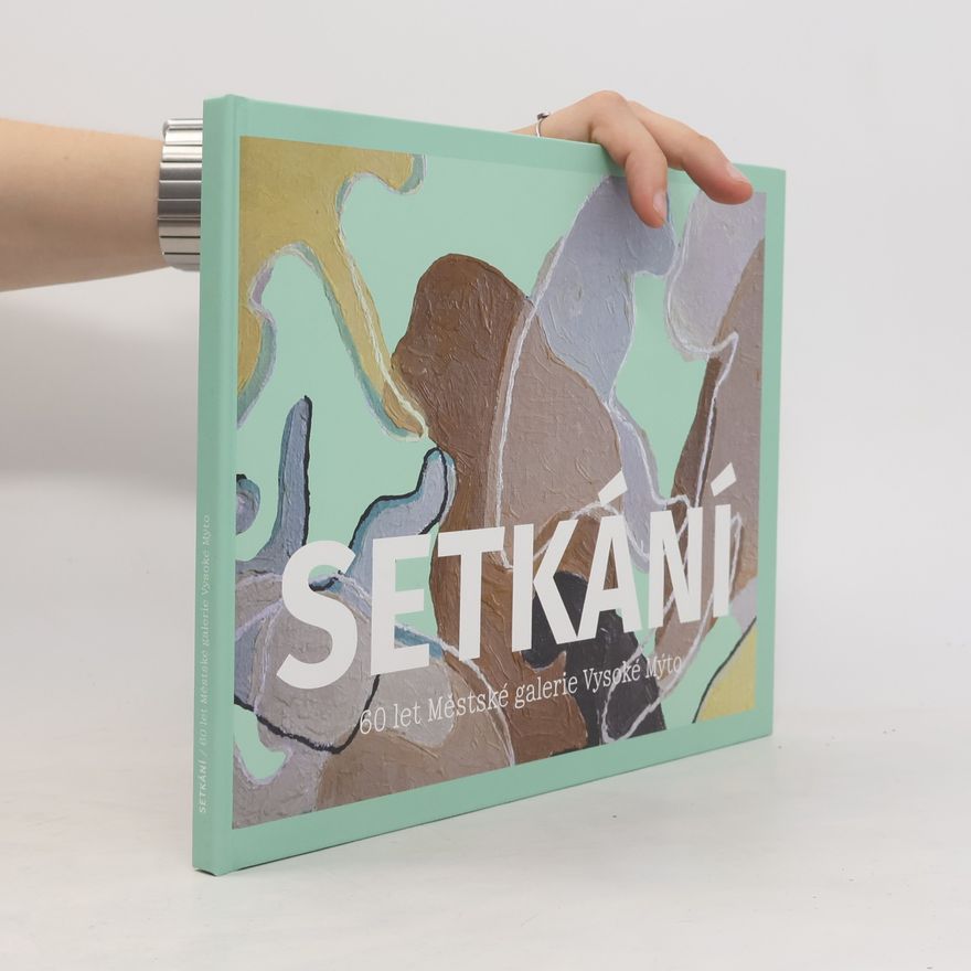 Kolektiv autorů Setkání : 60 let Městské galerie Vysoké Mýto
