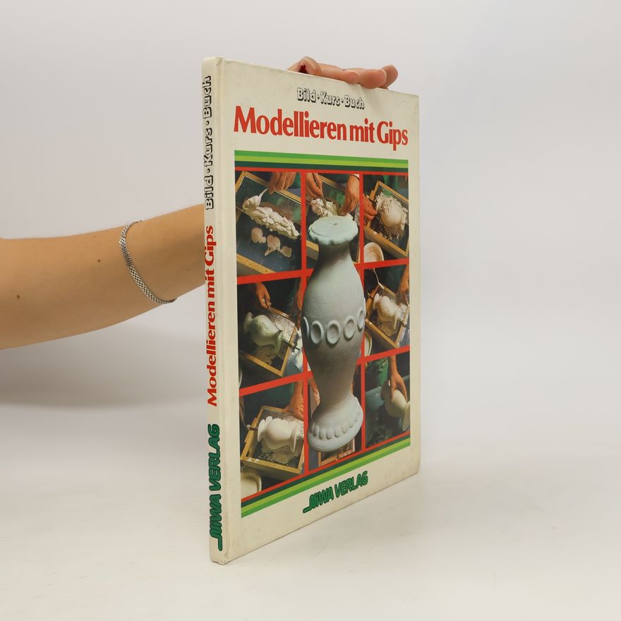 Lies de Jonge Bild-Kurs-Buch Gipstechniken