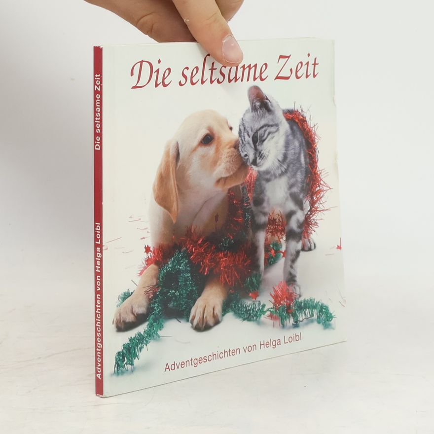 Autorenkollektiv Die seltsame Zeit