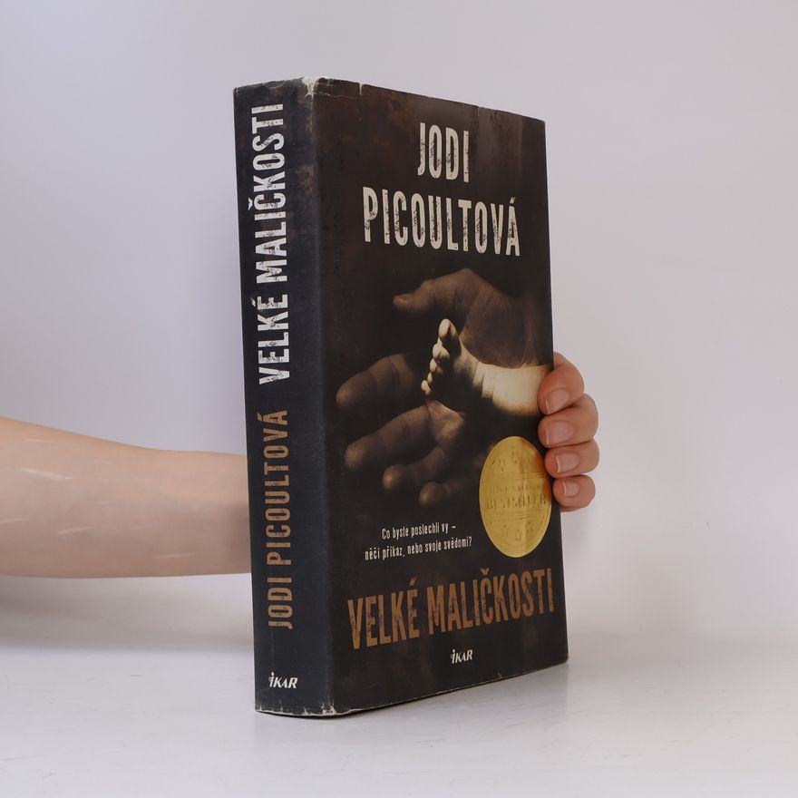 Jodi Picoult Velké maličkosti