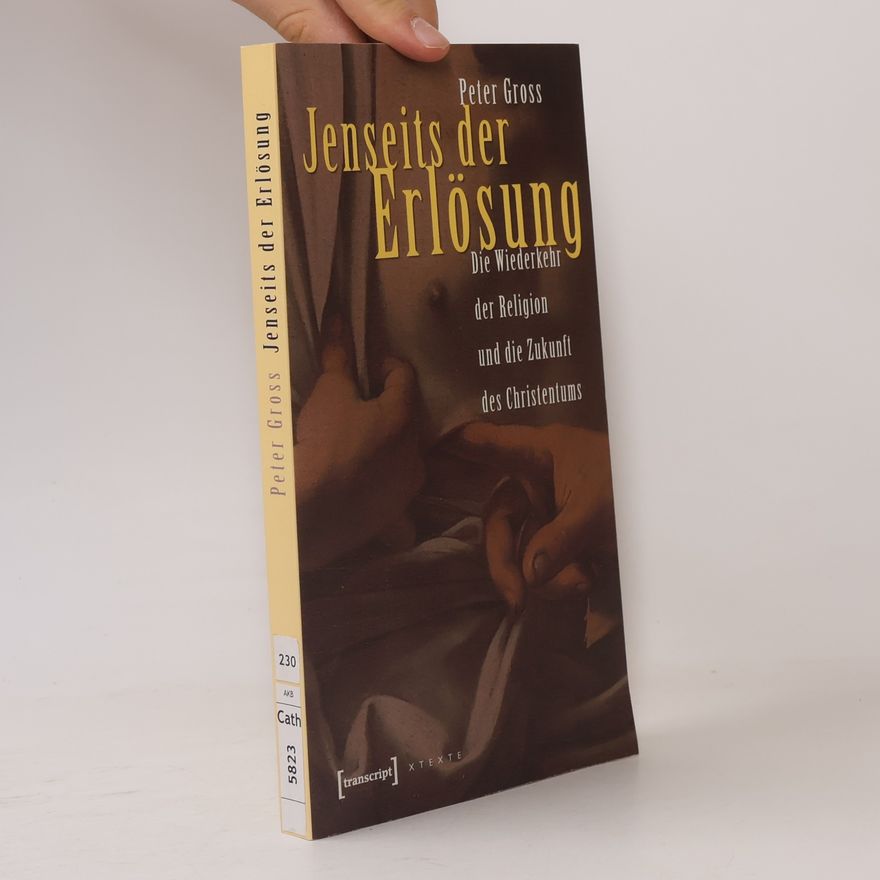 Peter Gross X-Texte zu Kultur und Gesellschaft: Jenseits der Erlösung