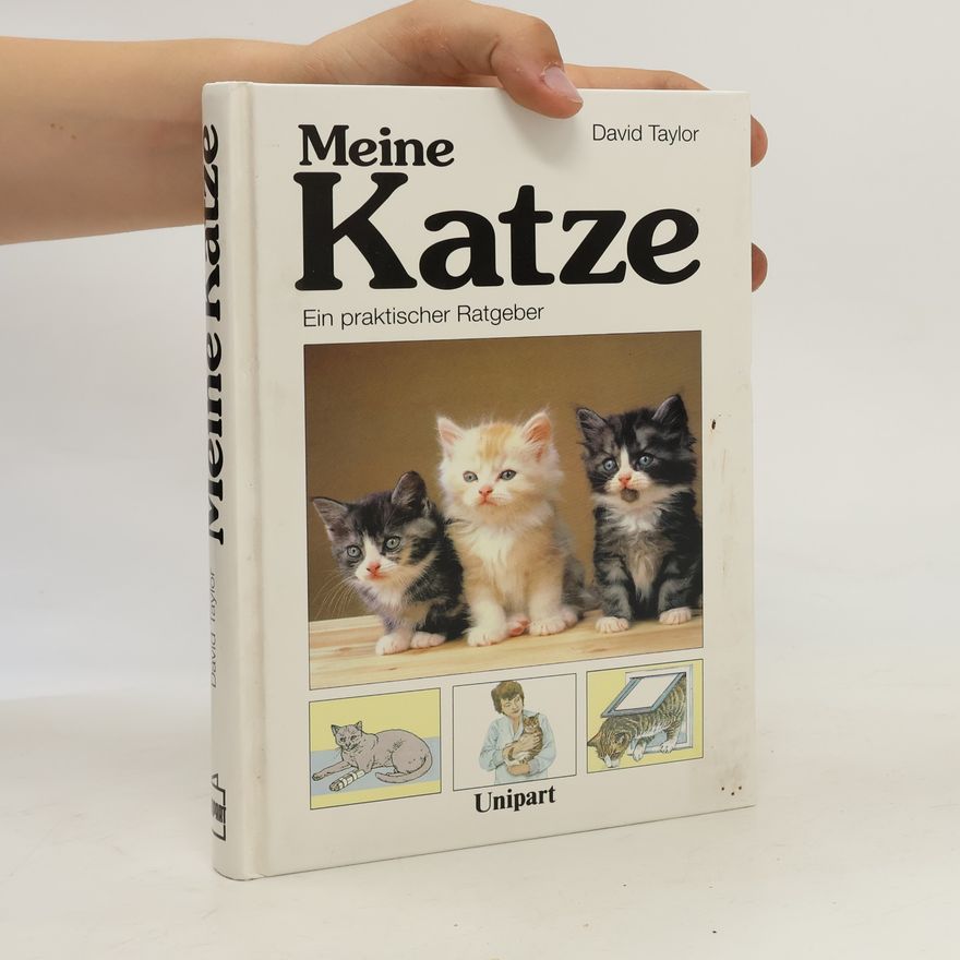 David Conrad Taylor Meine Katze
