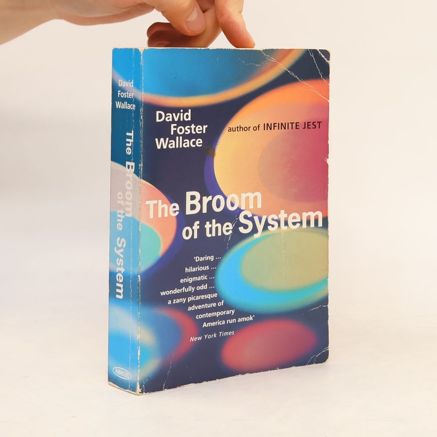 David Foster Wallace The Broom of the System