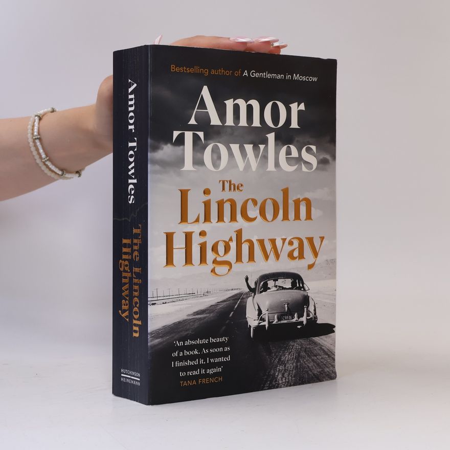 Amor Towels The Lincoln highway