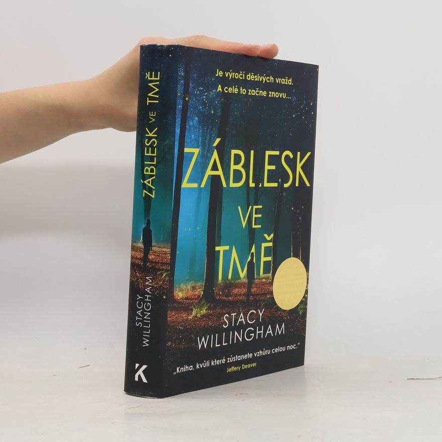 Stacy Willingham Záblesk ve tmě