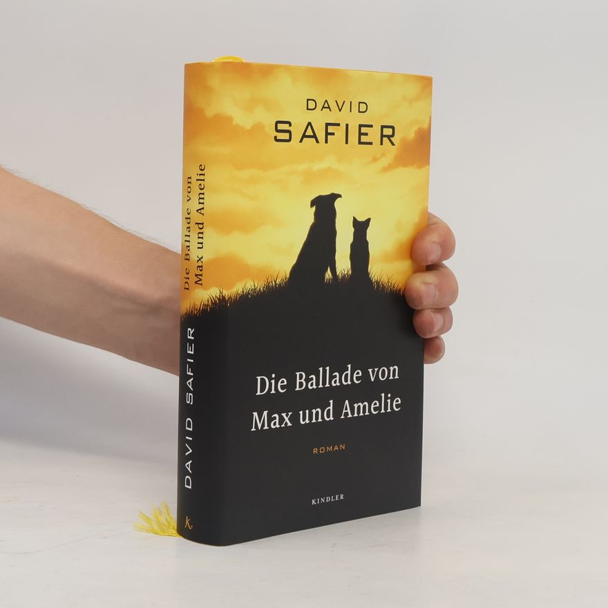 David Safier Die Ballade von Max und Amelie