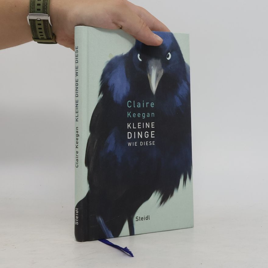 Claire Keegan Kleine Dinge wie diese