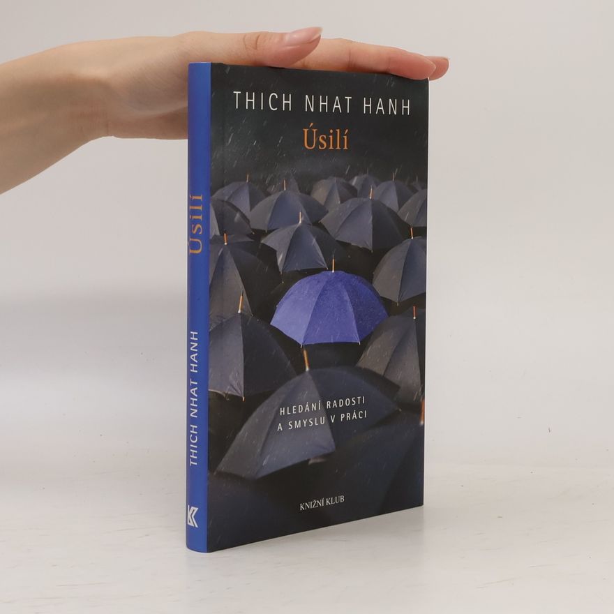 Hạnh Nhat Úsilí. Hledání radosti a smyslu v práci