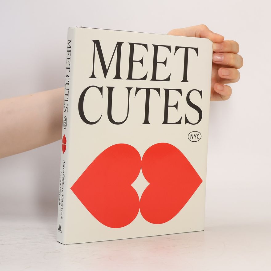 Feinberg, Aaron Meet Cutes NYC: True Stories of Love and Connection