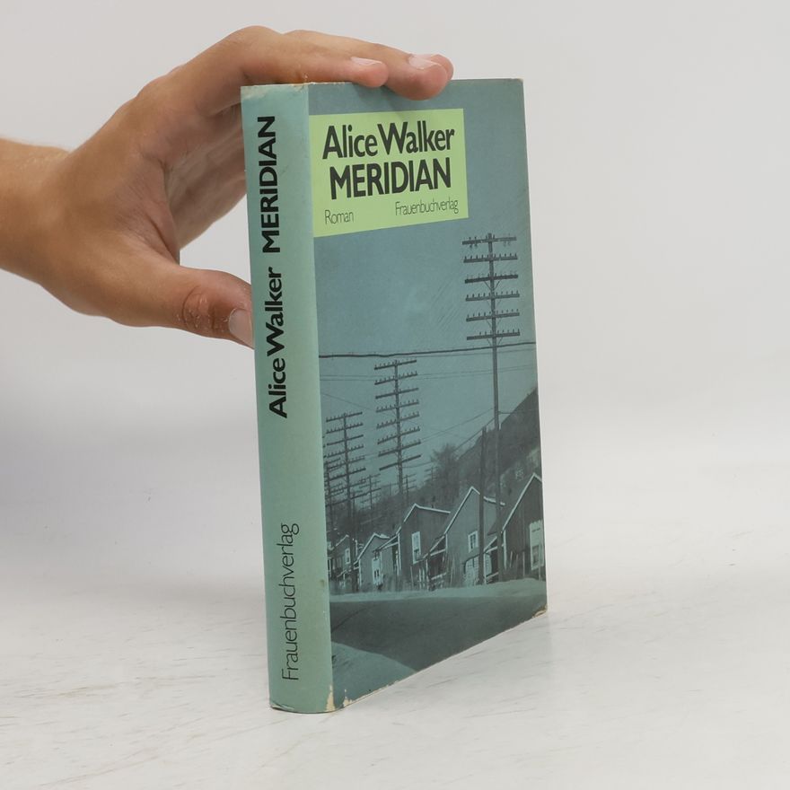 Alice Walker Meridian